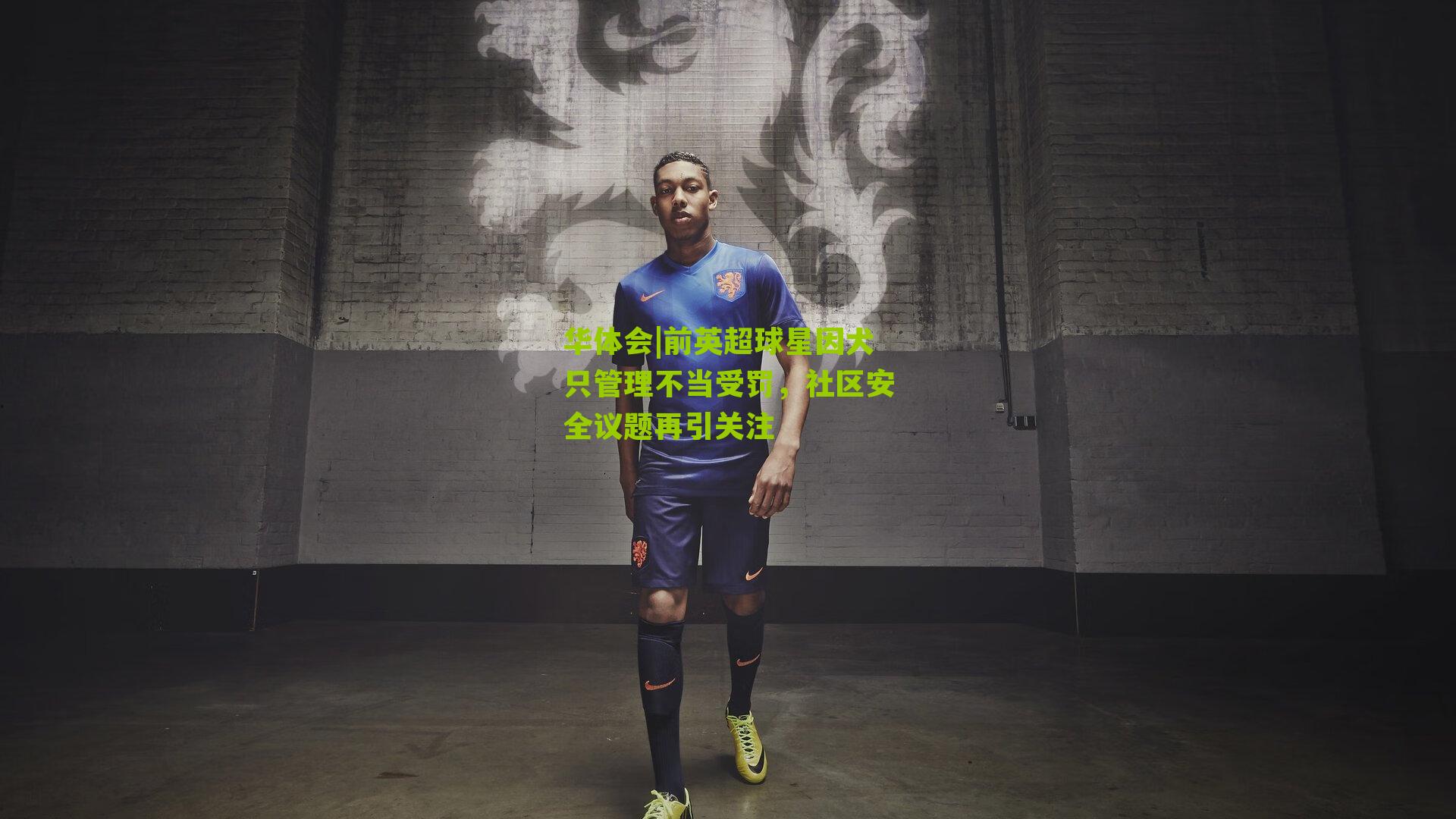 前英超球星因犬只管理不当受罚，社区安全议题再引关注