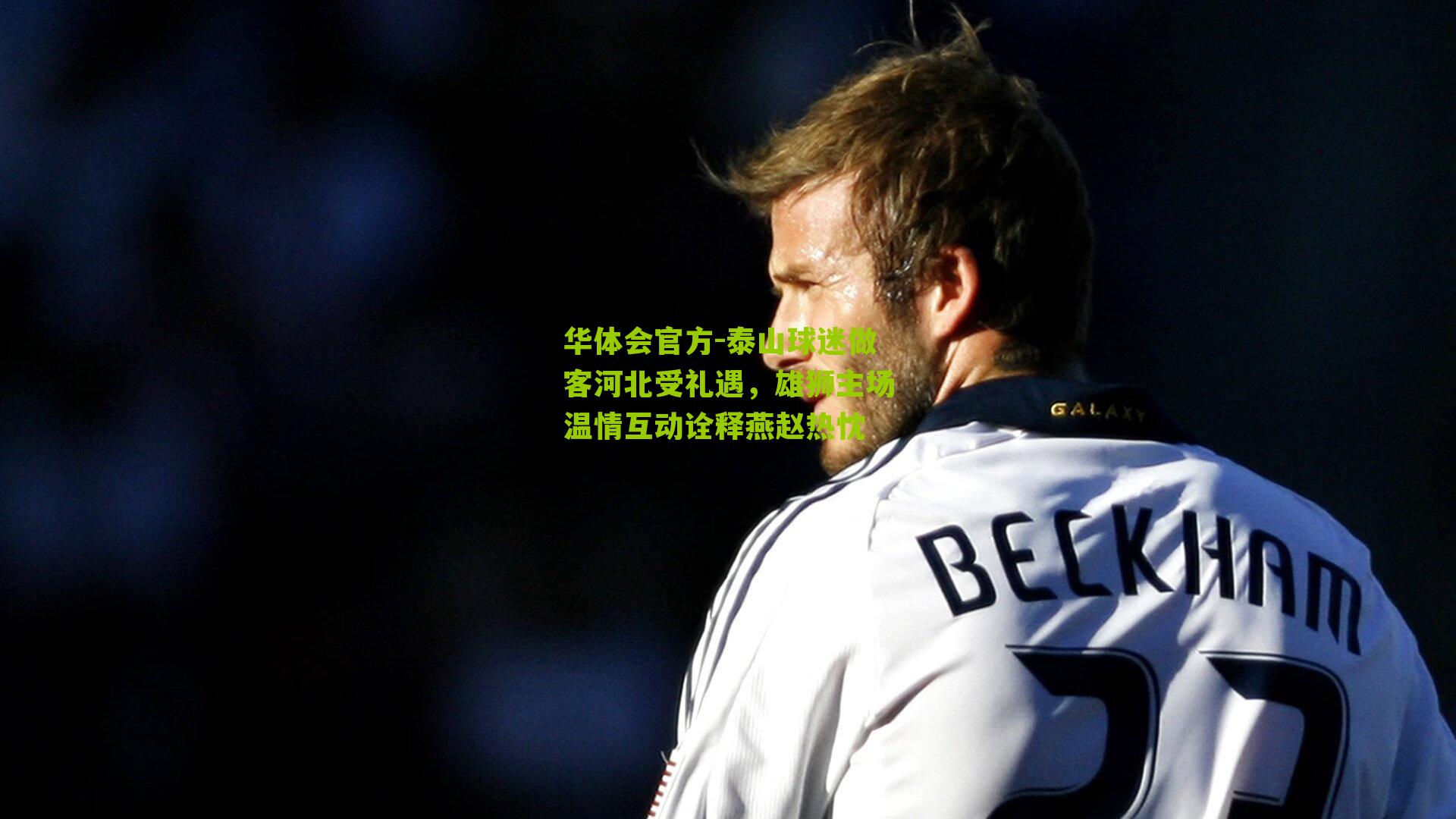 华体会官方-泰山球迷做客河北受礼遇，雄狮主场温情互动诠释燕赵热忱